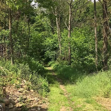 Il Concerto Del Bosco 住宿加早餐酒店 La Cassa